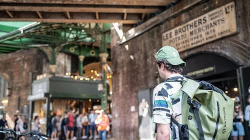 London: Top 30 Sights Walking Tour and London Eye Ride Day Tours