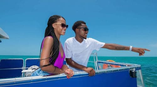 Key West Dolphin Watch and Snorkel Tour - Eco Adventure