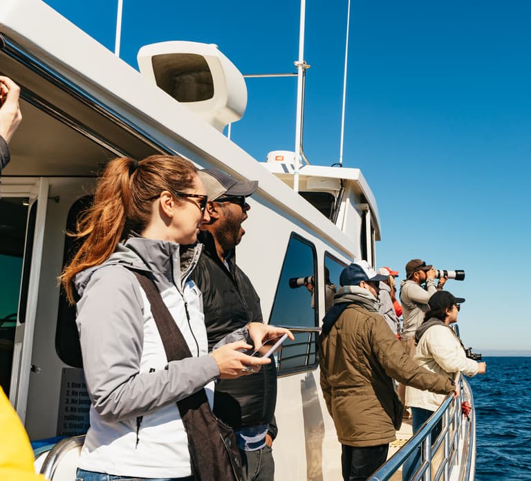 Monterey Bay: Whale Watching Tour