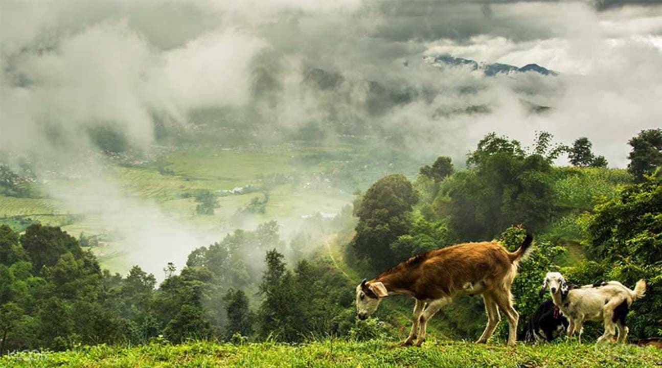 Nagarkot Day Hike