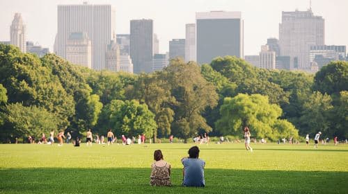 Semi-private Central Park walking tour