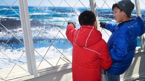 Toronto: Tour delle Cascate del Niagara con crociera e pranzo