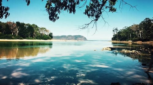 Full-Day Guided Bruny Island Tour from Hobart Day Tours