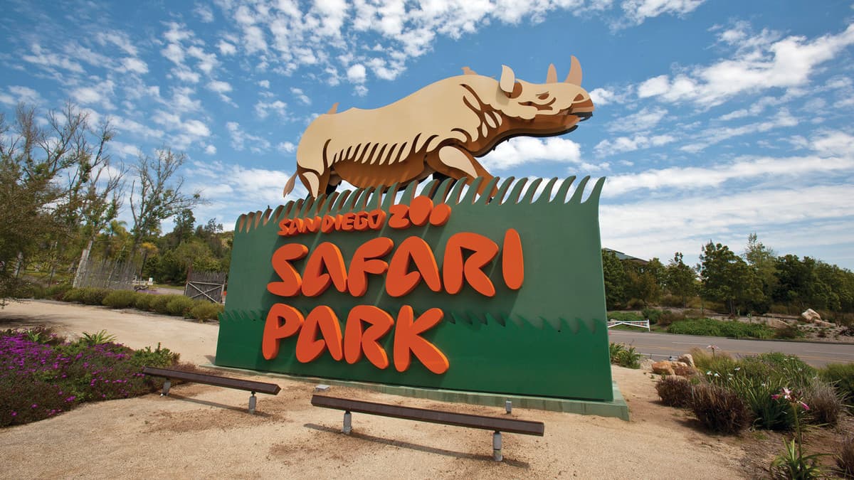 Go City: San Diego All-Inclusive Pass