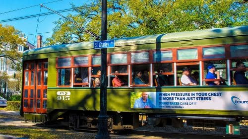 New Orleans Small-Group City Tour by Van Day Tours