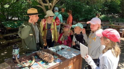 Amazing Muir Woods and Sausalito Tour Day Tours