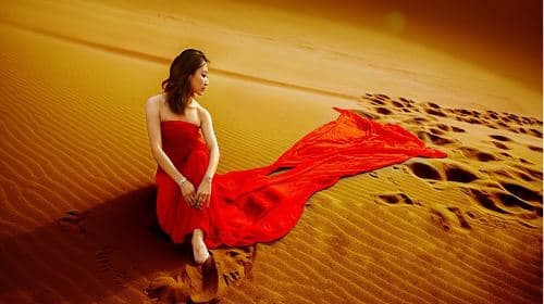 Dubai Desert Safari 1-day tour, High-Quality Red Sand + Transfers + Camel Ride + Dinner + Show + Hand Painting Day Tours