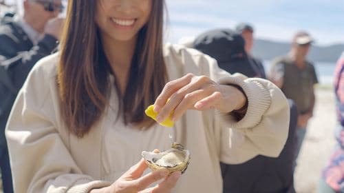 Bruny Island Food, Sightseeing, Guided Lighthouse Tour & Lunch  Day Tours