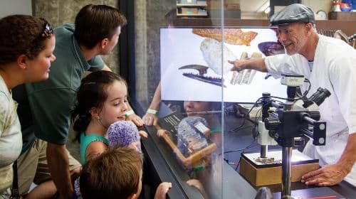 La Brea Tar Pits Museum