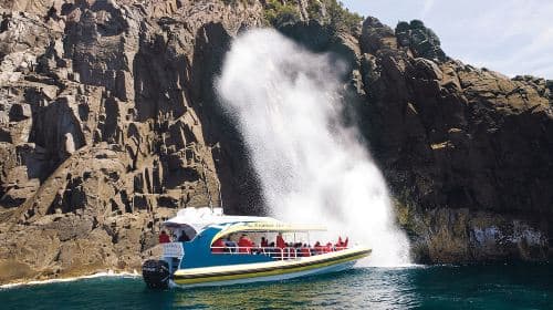 3-hour wilderness cruise on Tasmanian Bruny Island [optional departure from Hobart] Day Tours