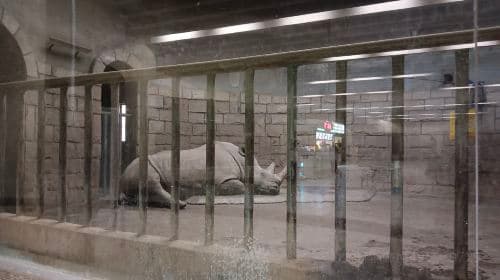 Beijing Zoo + Summer Palace one-day tour