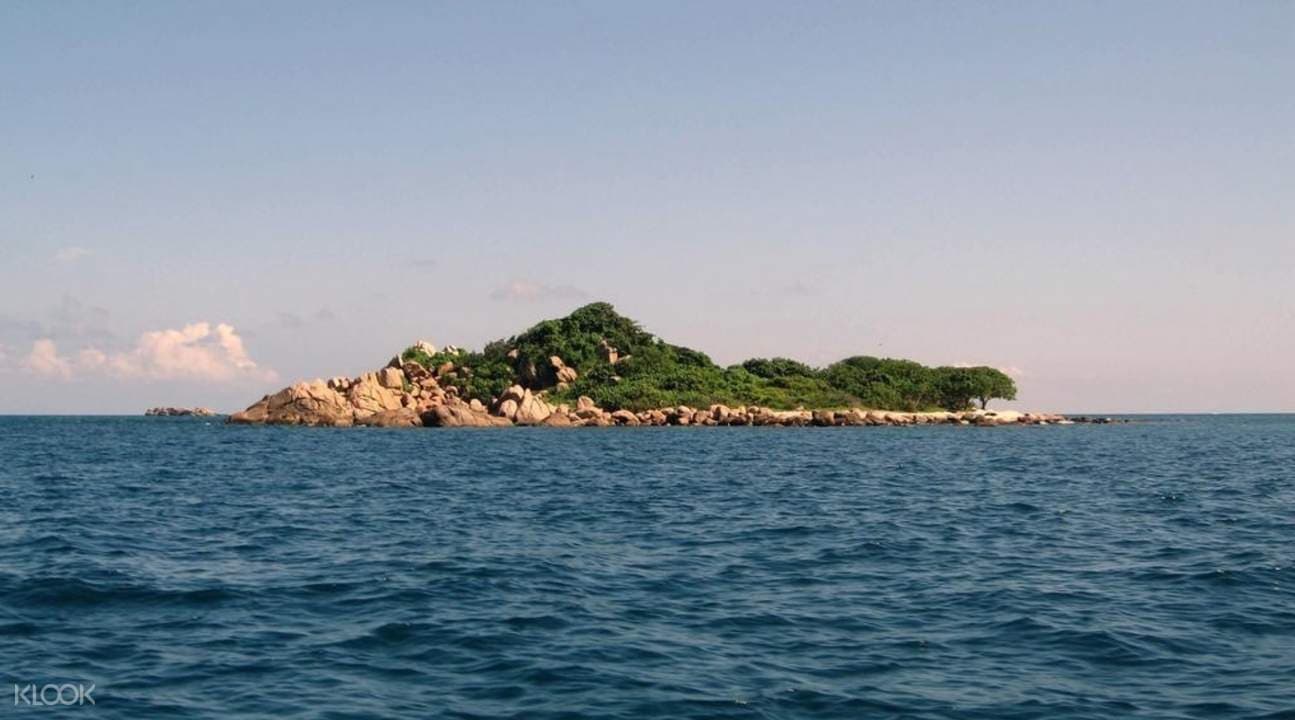 Pigeon Island National Park Snorkeling Experience from Trincomalee