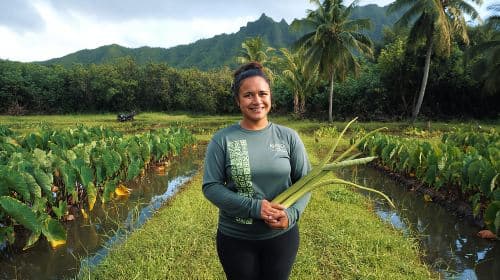 Hawaii: Oahu Explorer Pass - Tickets voor 3 tot 7 attracties en dagtochten
