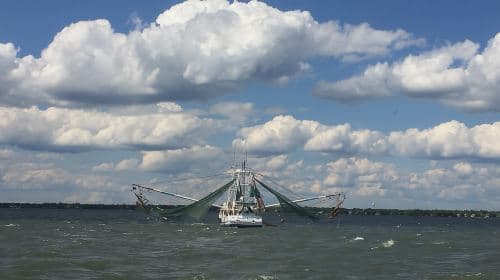 Charleston: Sunset Harbor Cruise Day Tours