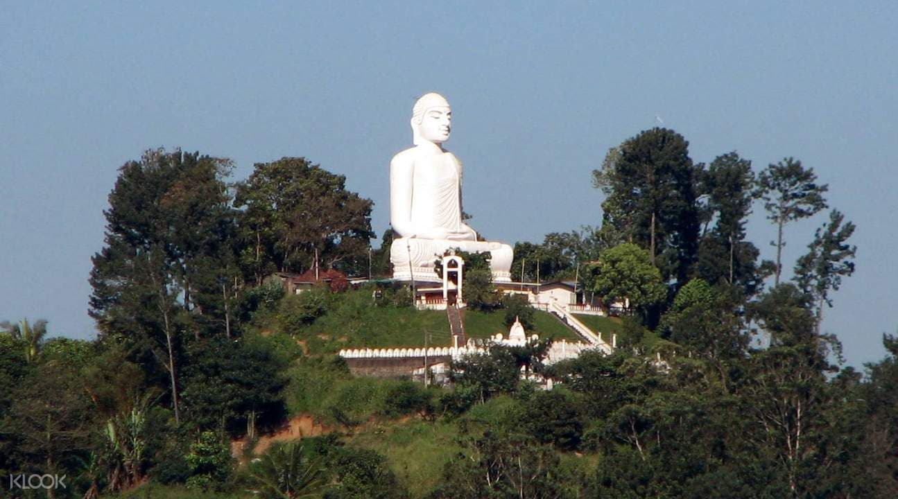 Nuwara Eliya Day Tour from Kandy