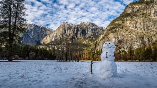 Stati Uniti: tour di 1 giorno dello Yosemite National Park + escursione tra le sequoie giganti [partenza da San Francisco | guida in lingua straniera] Tour giornalieri