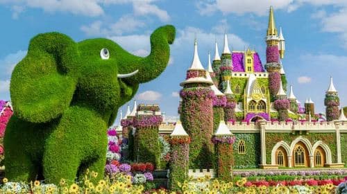 Dubai Miracle Garden tour with Transfers Day Tours