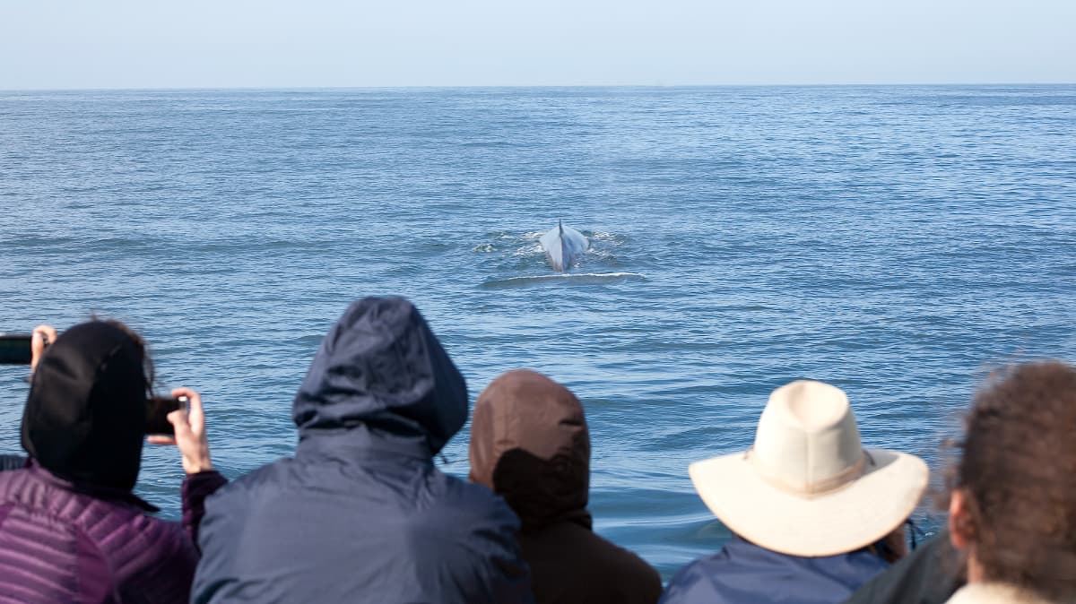 Go City: Los Angeles Explorer Pass