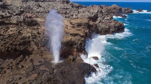Hidden Gems of Oahu Circle Island Tour with Byodo In Temple Day Tours