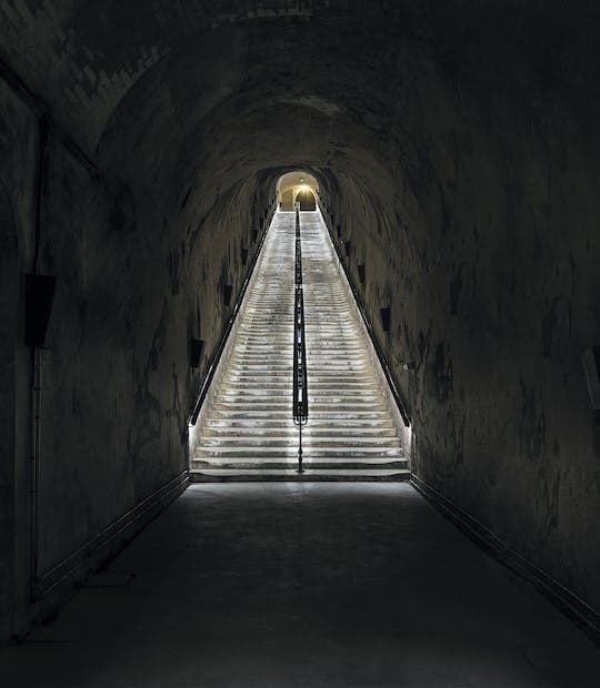 Full-Day Tour and Tasting at Two Family Estates Including Lunch