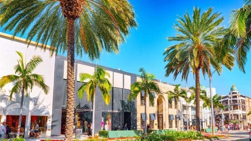 Hollywood Walk of Fame, Rodeo Drive 1-Day City Tour in Los Angeles Day Tours