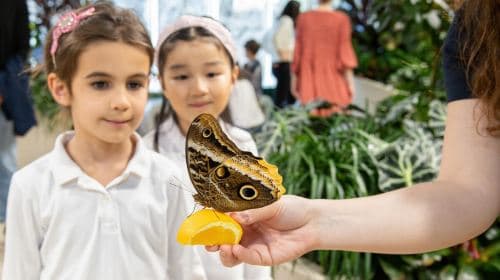 American Museum of Natural History (AMNH): Tutte le mostre con biglietto