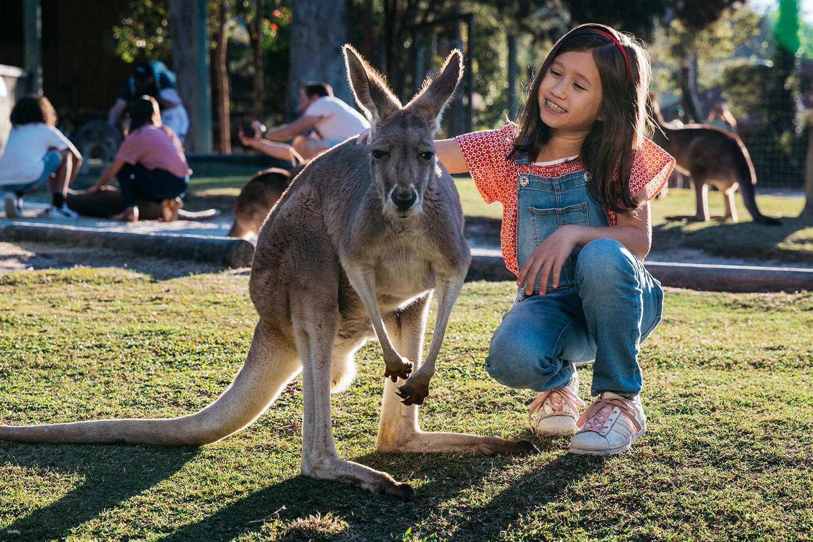 Paradise Country Tickets | Australië