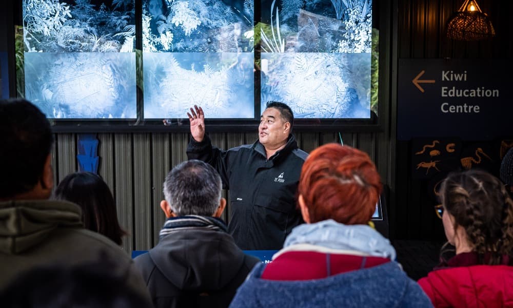 Rotorua Te Puia Guided Tour with Cultural Performance