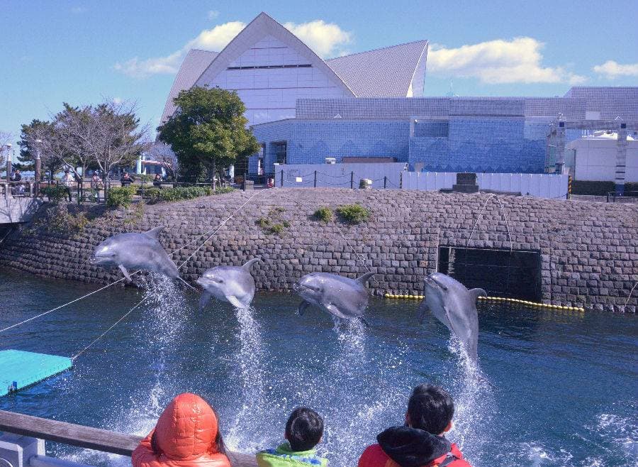 Kagoshima Aquarium