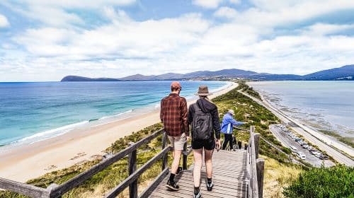 Bruny Island Food, Sightseeing, Guided Lighthouse Tour & Lunch  Day Tours