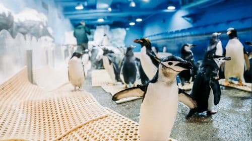 National Museum of Marine Biology & Aquarium