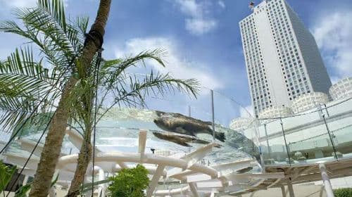 Sunshine Aquarium