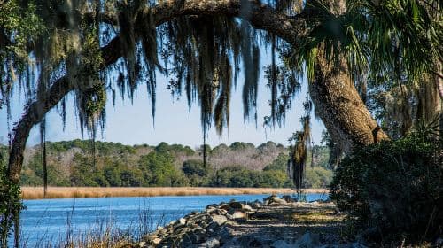 Charleston: Magnolia Plantation z transportem i wycieczką po mieście