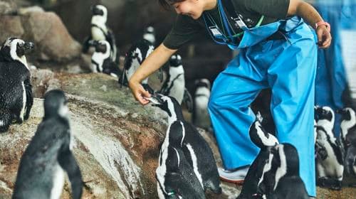 Kyoto Aquarium