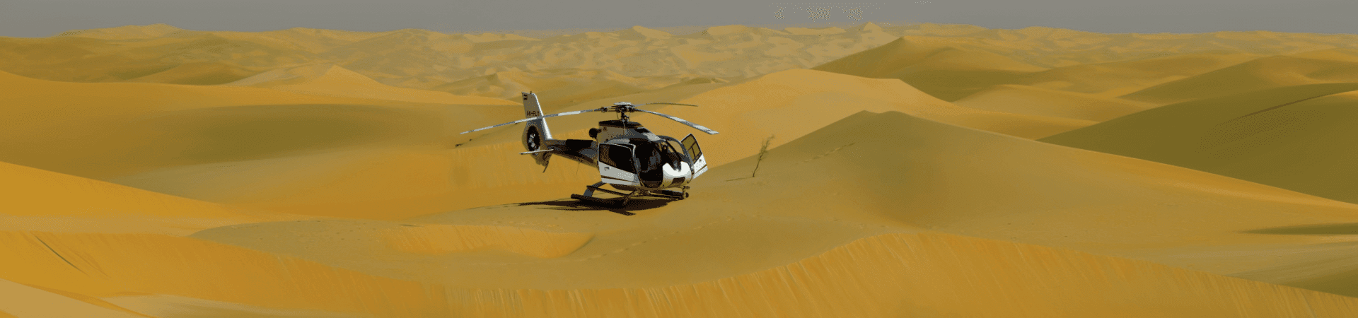 Helicopter Ride in Dubai
