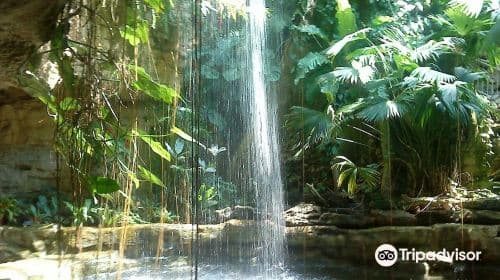 Houston Museum of Natural Science