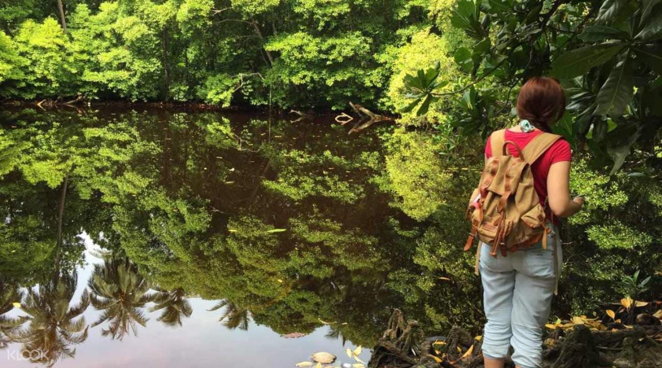 Male Island Hopping Tour