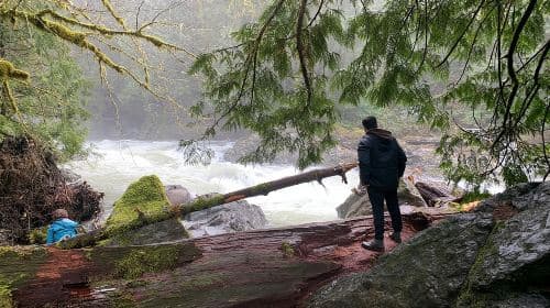 Guided forest hike to Seattle waterfalls incl. Snoqualmie Falls Day Tours