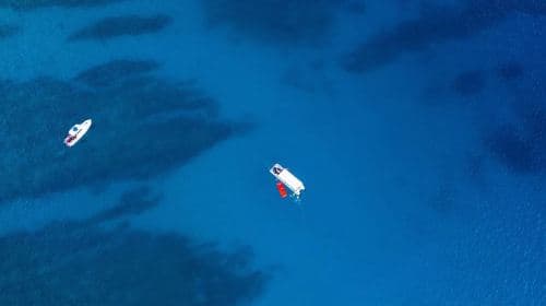 Oahu: Waikiki Whale Watch Boat Tour Day Tours