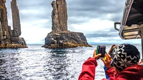 3-hour speedboating experience and day tour at Bruny Island, Tasmania Day Tours