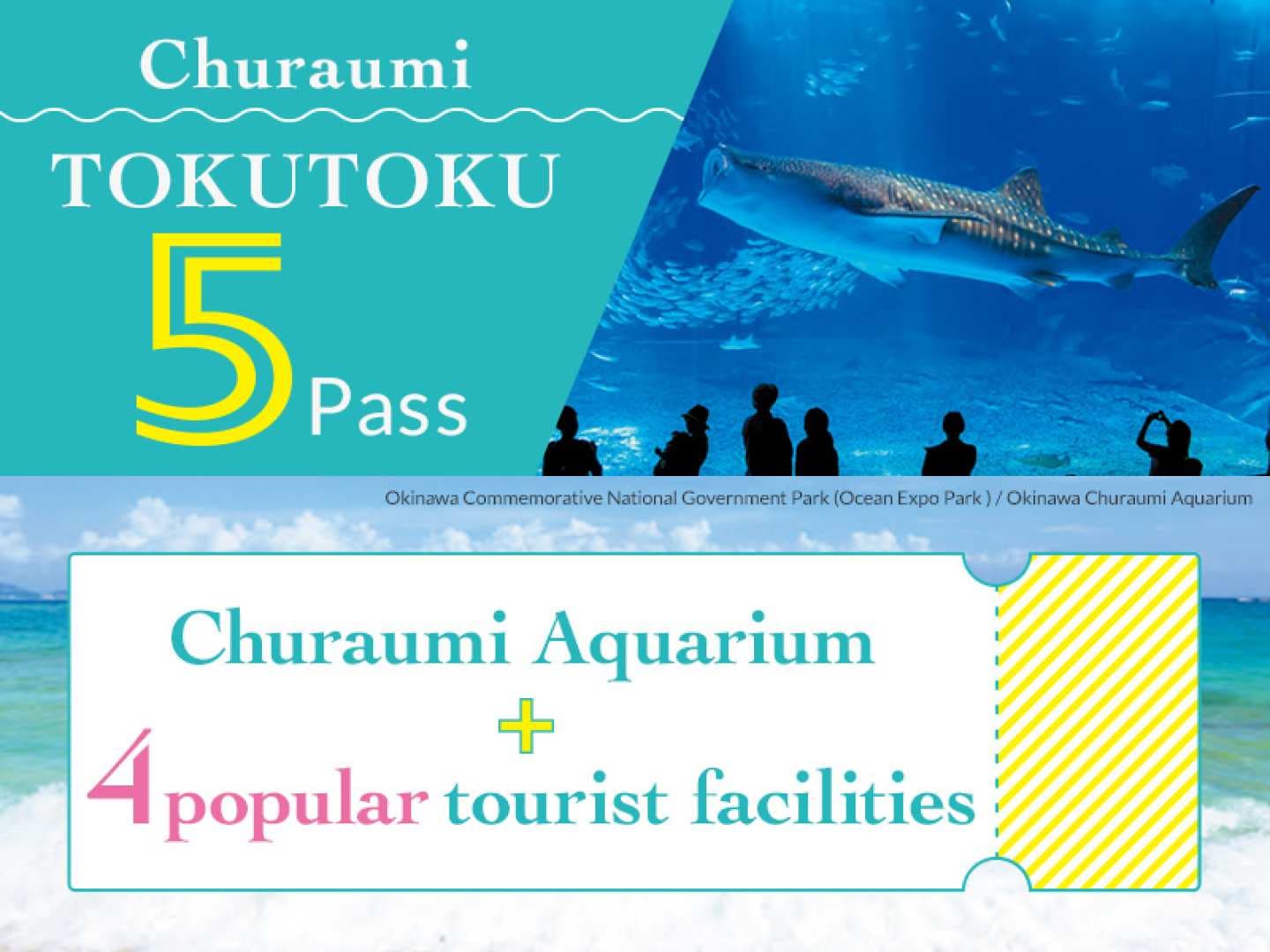 Churaumi Tokutoku 5 Pass|Directe bevestiging|Okinawa