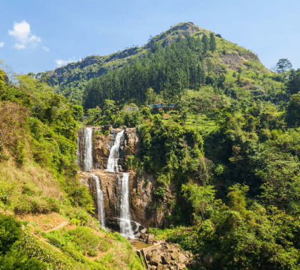 Sri Lanka Tour 5 Days 4 Nights