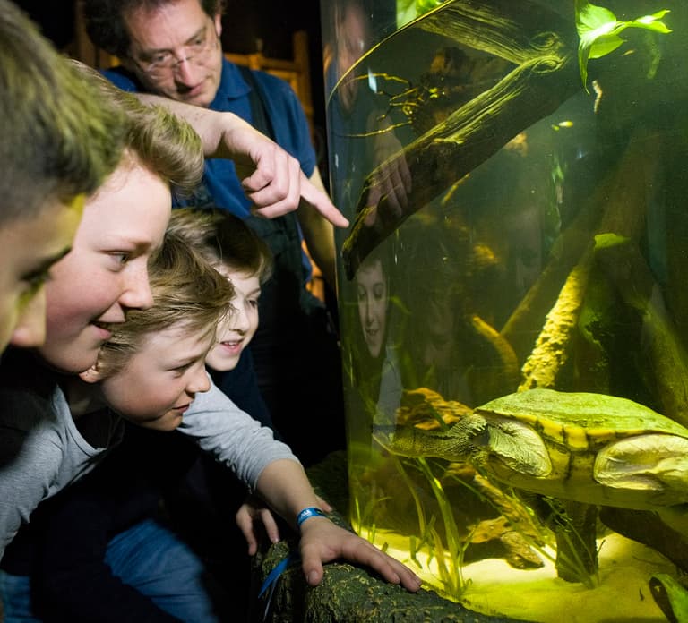 Munich: Day Ticket to Sea Life