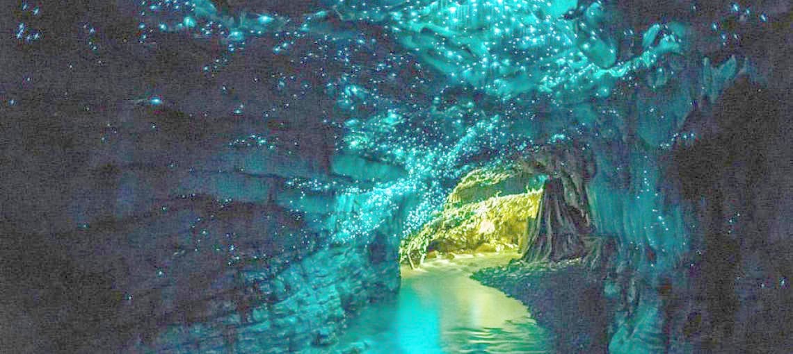 Waitomo Glowworm Caves Guided Tours