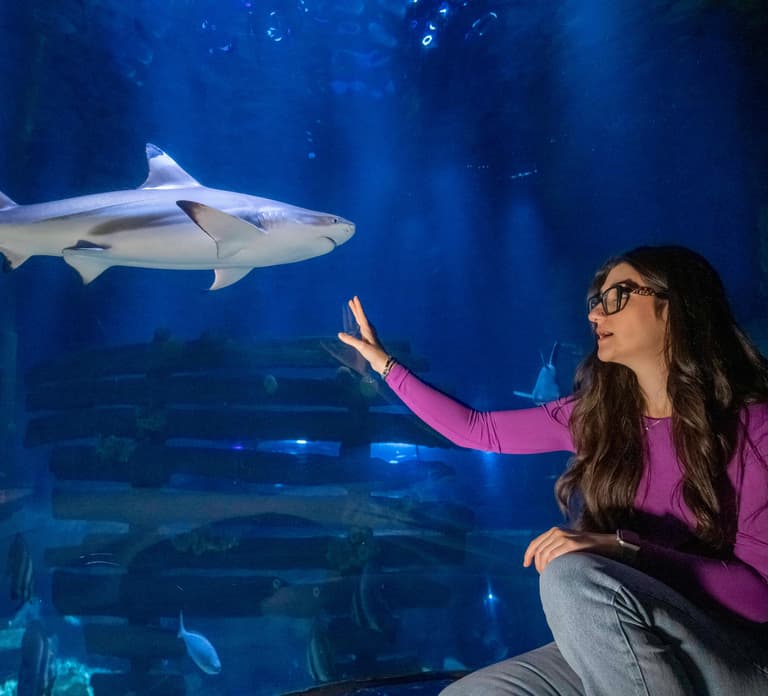 Ticket to SEA LIFE Konstanz