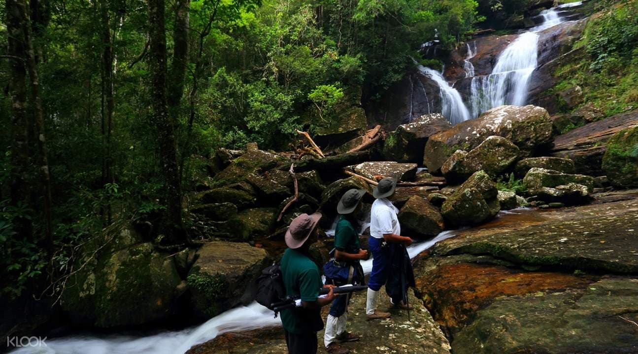 Sinharaja Forest Reserve Private Tour from Bentota