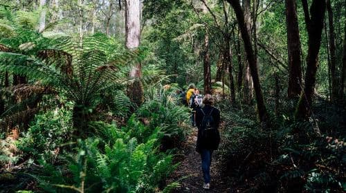 Discover Bruny Island in Tasmania, Australia [Includes city transfers/Tasmania's must-visit spots] Day Tours