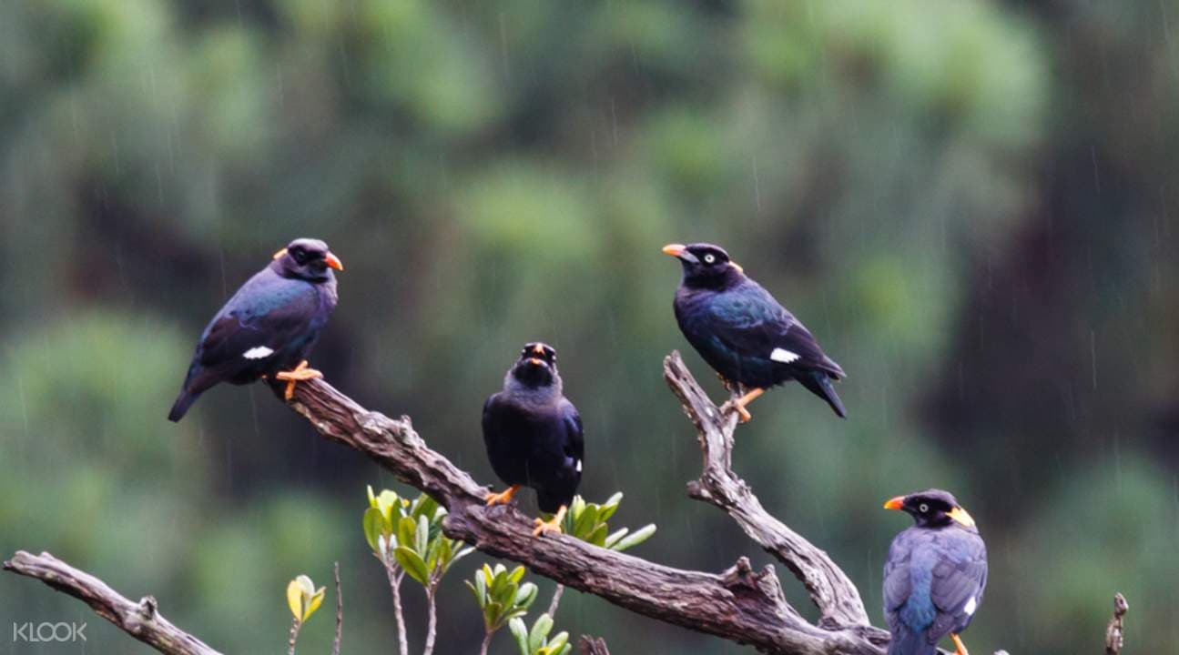 Knuckles Day Tour from Kandy