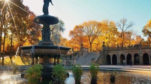 Visite en pousse-pousse de l'histoire et des paysages naturels de Central Park à New York, USA151837 Excursions d'une journée
