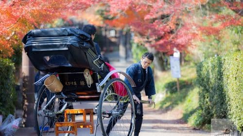 [Rickshaw Ebisu-ya] Tour privato in risciò ad Arashiyama, Kyoto
